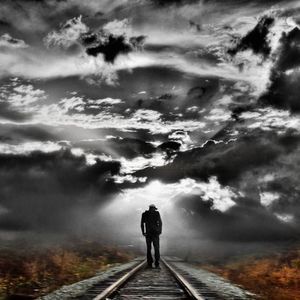 Meet your Posher, Roy